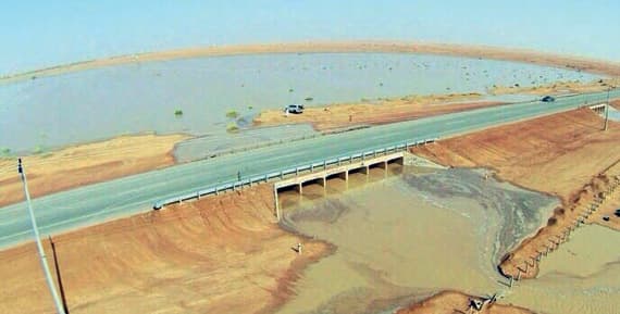 روضة أبا الورود .. موطن لأعشاب الرشاد والبابونج والثعلوق