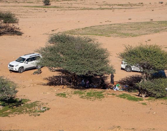«الوجه» .. ملتقى الباحثين عن الدفء خلال الشتاء
