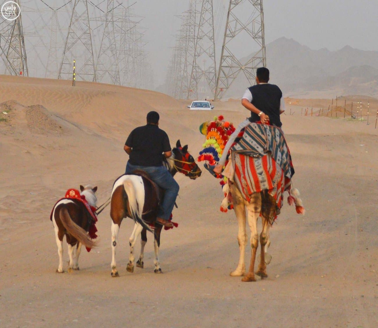 أجواء جدة الربيعية تغري المصطافين وتحقق أشغالاً فندقية تصل لـ 90%