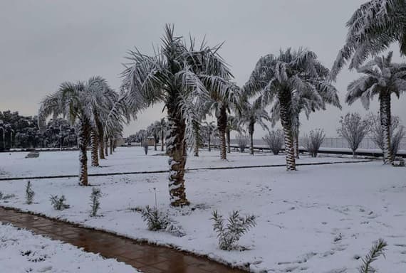 لأول مرة منذ أكثر من  60 عاما .. ثلوج في رفحاء