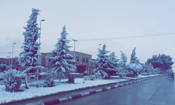 لأول مرة منذ أكثر من  60 عاما .. ثلوج في رفحاء