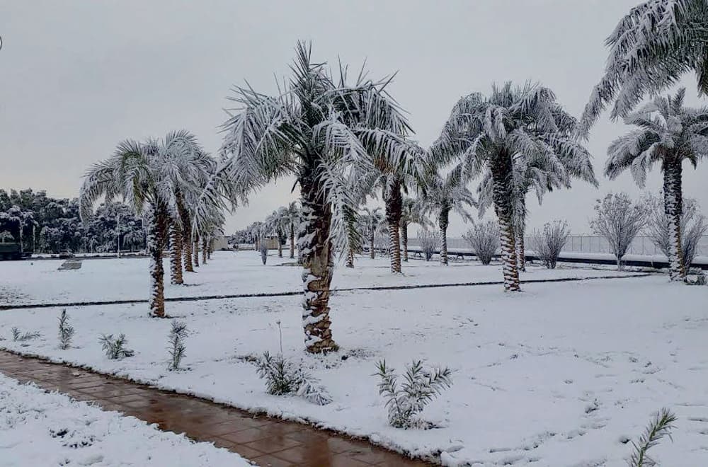 بعد 60 عاما.. الثلوج تعود إلى رفحاء