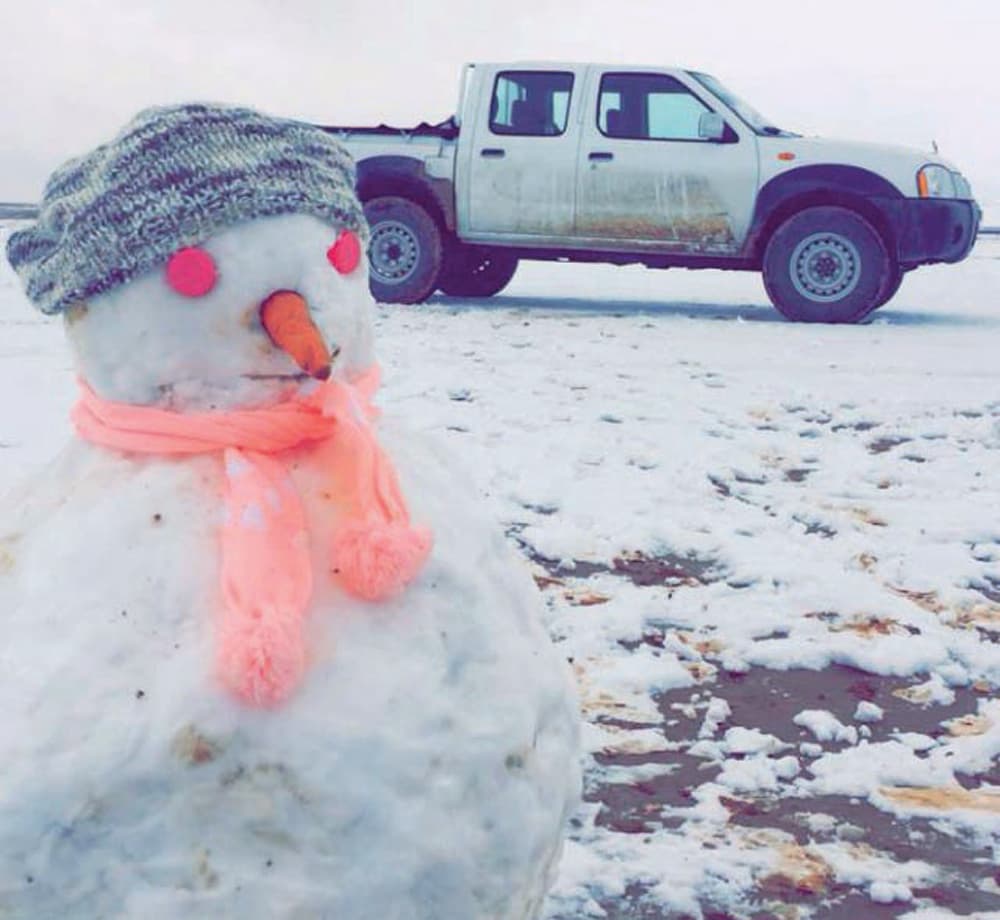بعد 60 عاما.. الثلوج تعود إلى رفحاء