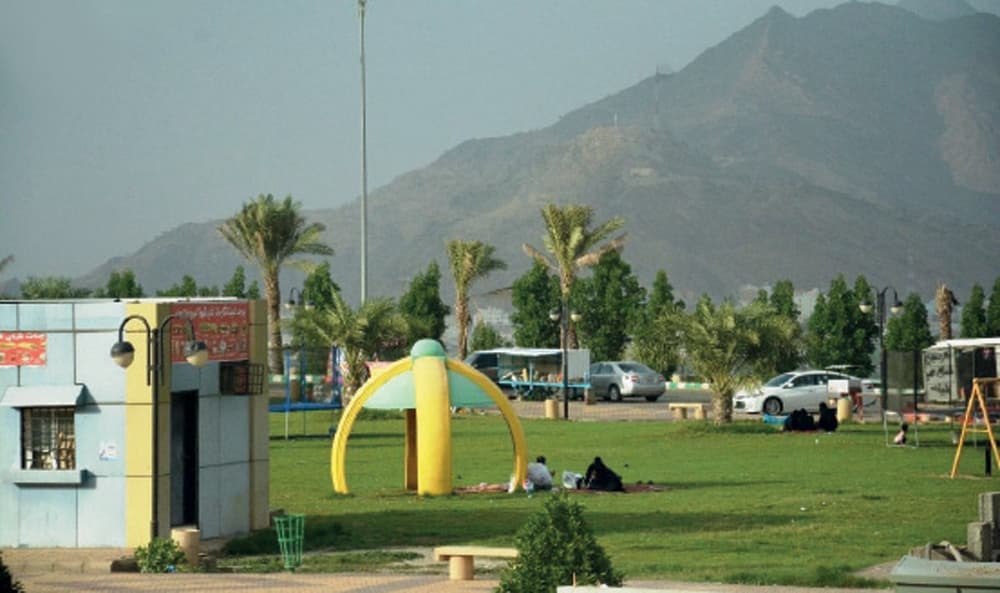 محافظات تهامة عسير تستقبل الباحثين عن الدفء واعتدال الأجواء