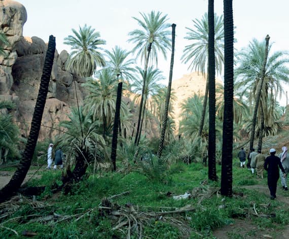 «أجا» و «سلمى» .. مقصد المتنزهين