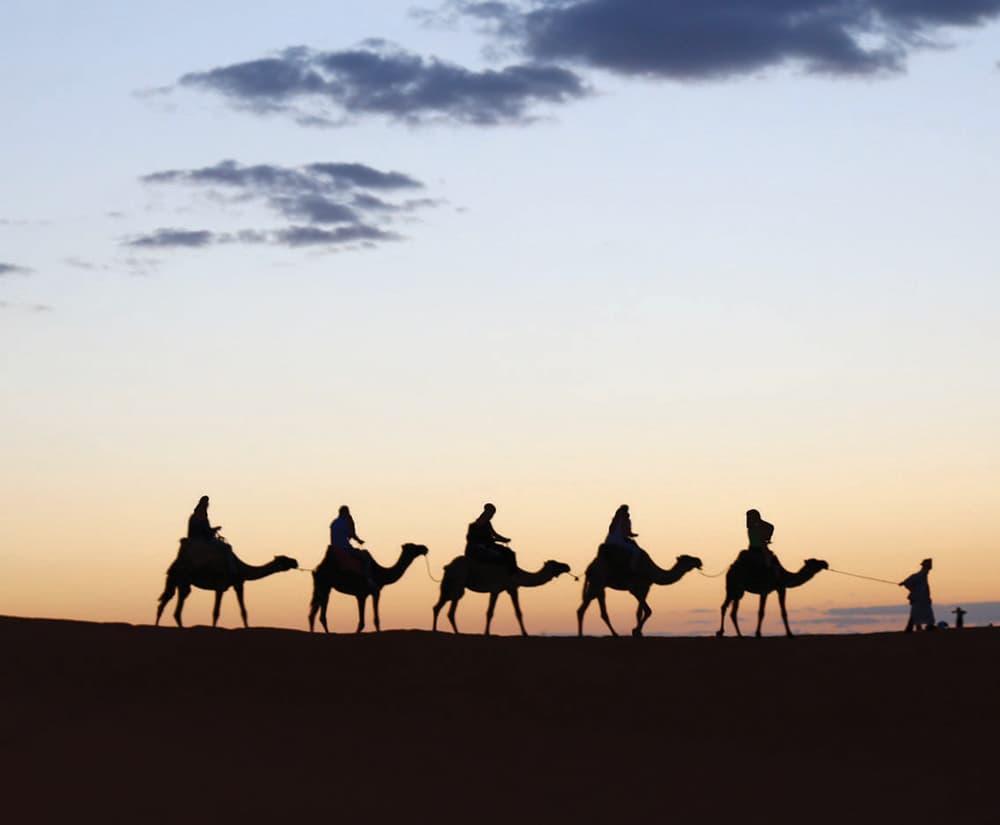 رحلة على سفينة الصحراء