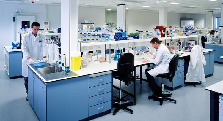 كائن تخليقي أولي بسيط يسلط الضوء على طبيعة الحياة