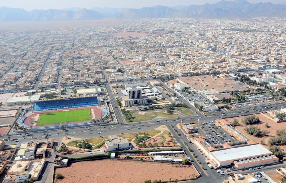 مساع لإنشاء شركة للاستثمار السياحي 
في حائل بـ 25 مليون ريال