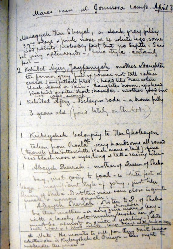 الحرية في الصحراء.. لا مع اللوردات والباشوات