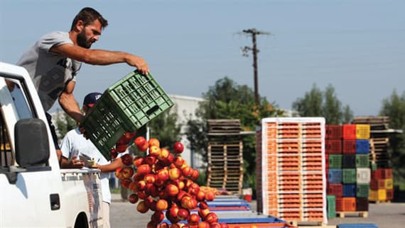 تصدرت تركيا قائمة الدول المصدرة للسعودية محاصيل الفواكه والخضروات.