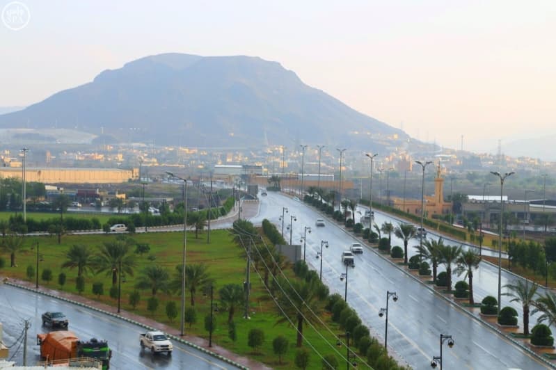 الداخلية تنفذ حكم القتل قصاصا في أحد الجناة في محايل عسير