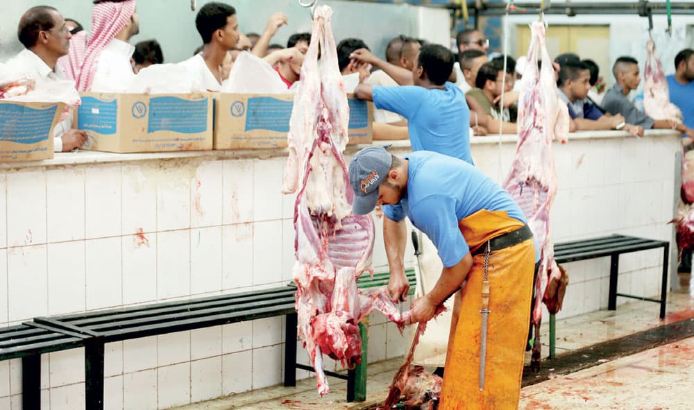 بلغت عدد الأضاحي المذبوحة العام الماضي نحو 42 ألفا. تصوير: إقبال حسين - "الاقتصادية"