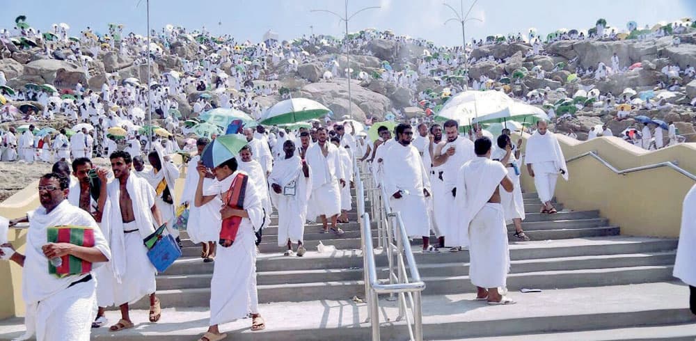 أسهم السلم الخرساني الذي نفذ هذا العام في جبل الرحمة في تسهيل تنقل الحجاج."الاقتصادية"