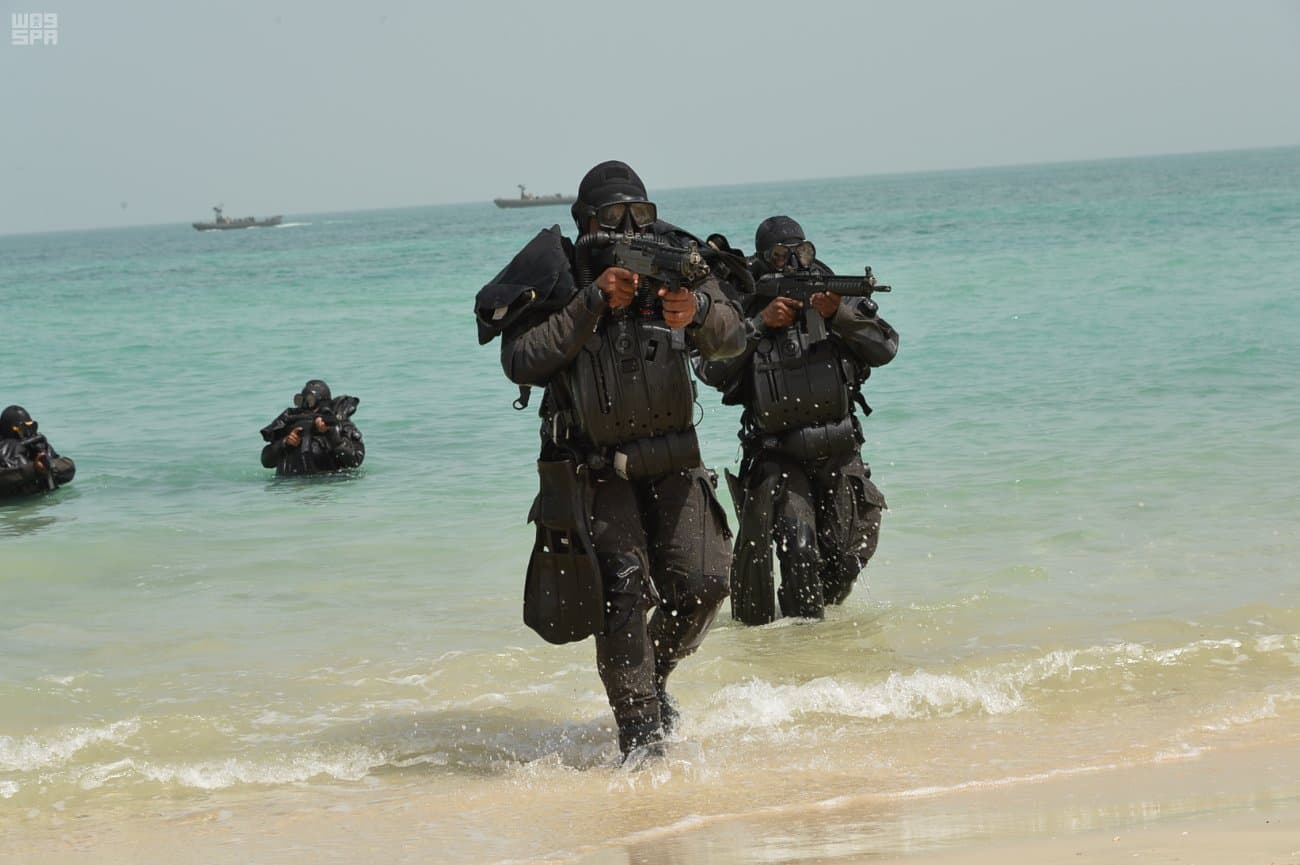 انطلاق مناورات "درع الخليج" في مضيق هرمز