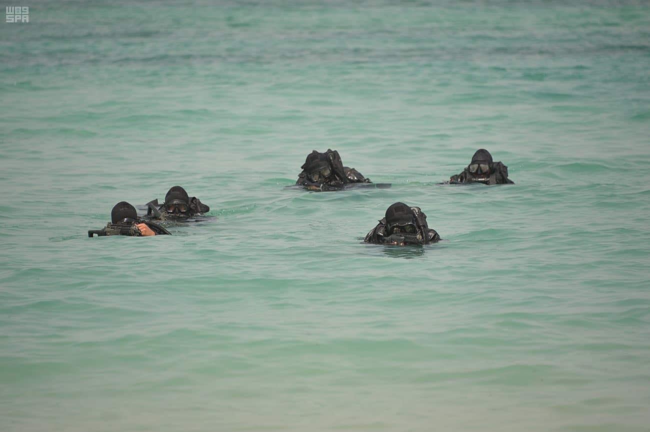 انطلاق مناورات "درع الخليج" في مضيق هرمز