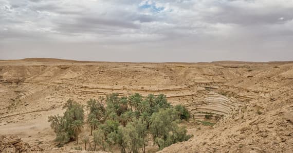 ناقش الاجتماع دمج التنوع الأحيائي في جميع القطاعات ذات العلاقة. "الاقتصادية"