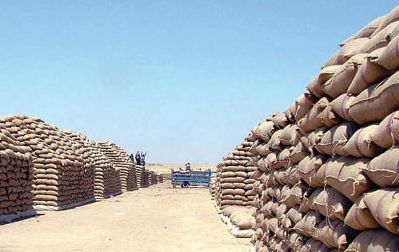  توقعت المؤسسة استيراد 3.5 مليون طن قمح بنهاية العام الجاري وبزيادة سنوية 100 ألف طن. 