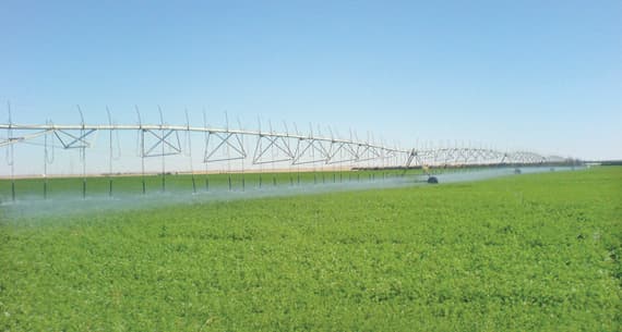 المزارع تصدرت النسبة الأعلى من الأوقاف المقدرة بـ 27 في المائة من إجمالي الأوقاف.