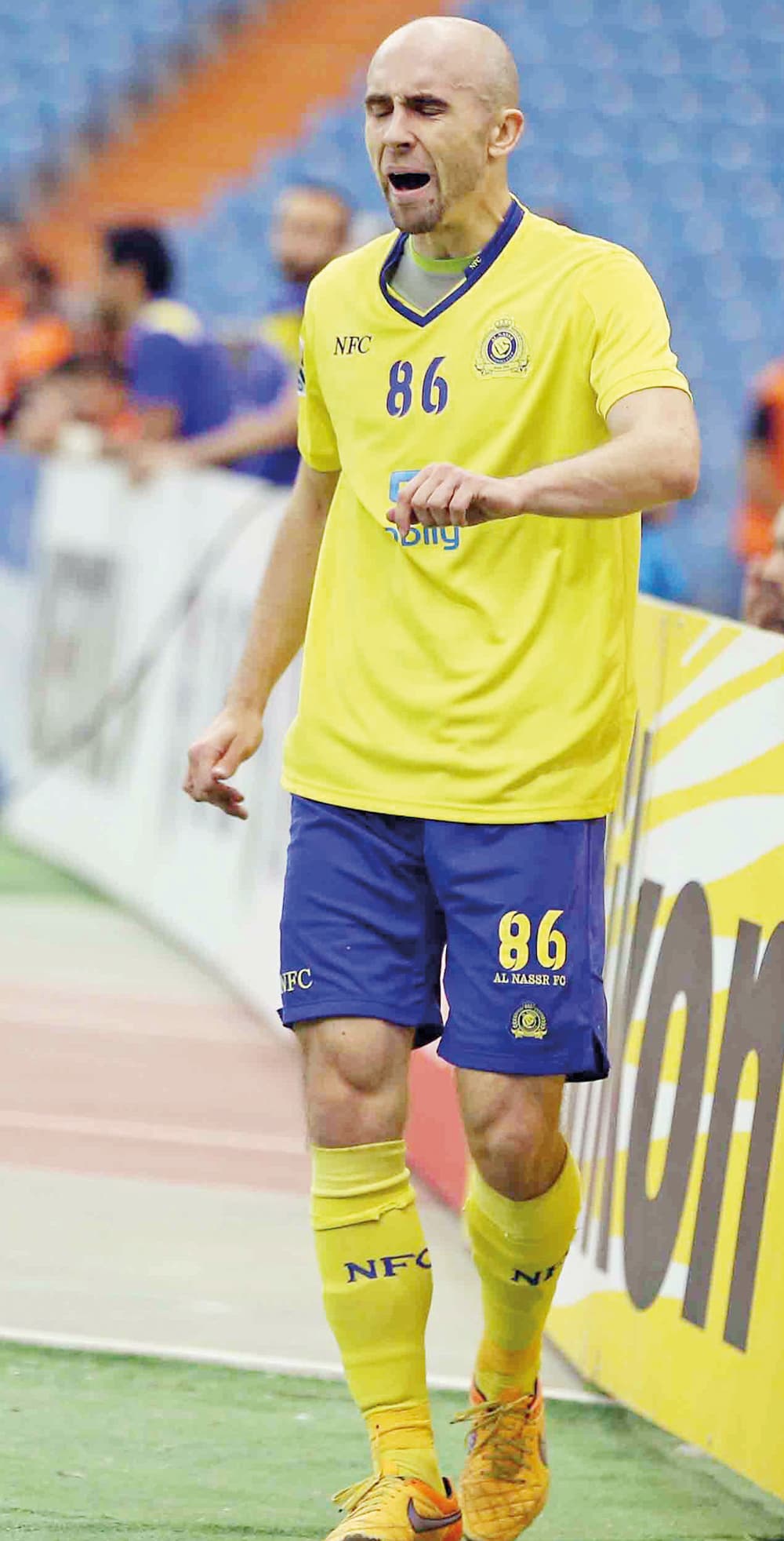 أدريان ميرزفيسكي