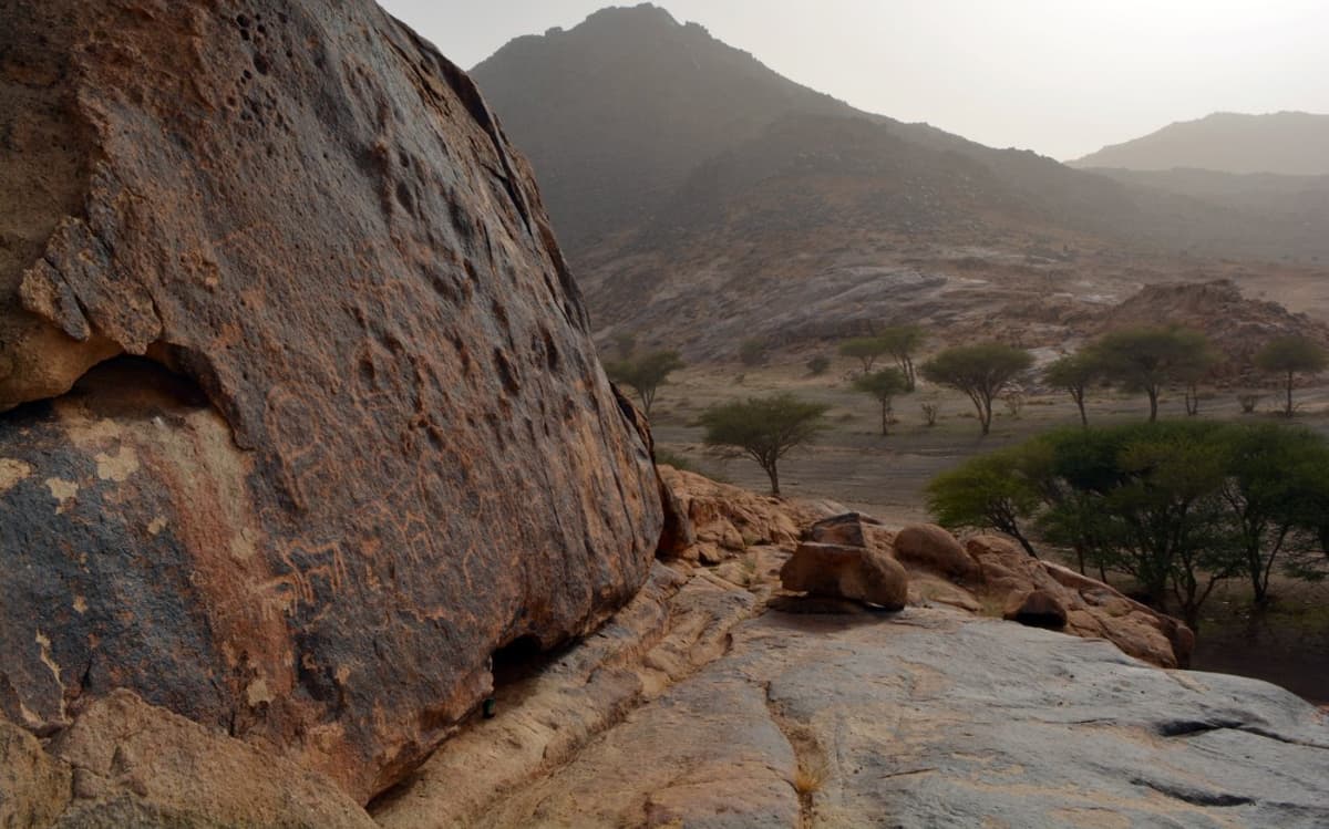 رسومات "جبل سواج" الثمودية الرائعة تبهر زوار رس القصيم