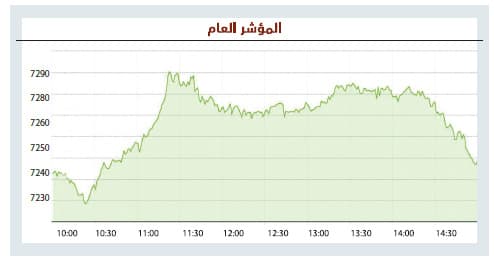 الأسهم السعودية تمحو معظم مكاسبها بضغوط البيع .. والسيولة ترتفع 31 %