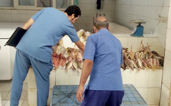 استهدفت الجولات المطاعم ومحال بيع الدواجن واللحوم والأسماك."الاقتصادية"