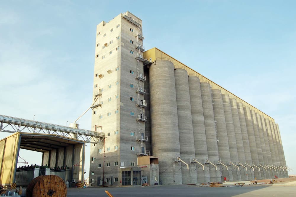 مؤسسة الحبوب ستستكمل إجراءات التحويل للشركات بشكل كامل خلال الشهر الجاري.