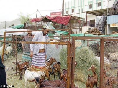 "درب جازان" .. مشتى الجنوب ومصدر مياه التحلية