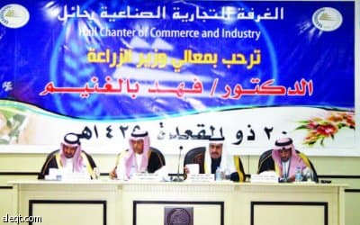 "الزراعة" تنتظر الموافقة على رفع سعر كيلو القمح إلى الضعف