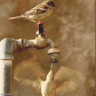 إستنطقوها