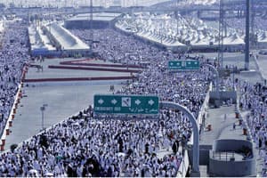 المجلس: ما هي مبررات إقبال الناس على الحج دون تراخيص؟