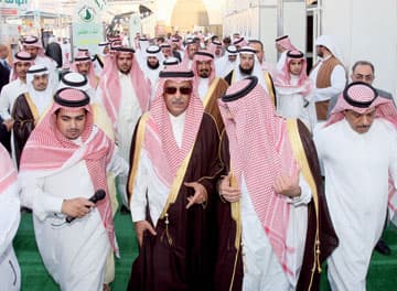 بالغنيم: لا تعويض للمتوقفين عن زراعة القمح.. والدولة تلبي الاحتياج بـ300 ألف طن