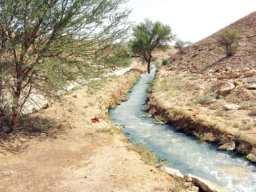 "عين العيينة" الدامعة .. منتجع سياحي "غير رسمي " بمواصفات عالمية