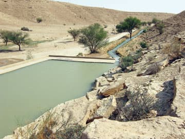 "عين العيينة" الدامعة .. منتجع سياحي "غير رسمي " بمواصفات عالمية