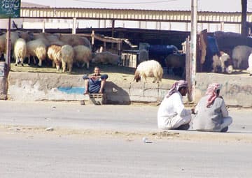 السلي .. حي "حديث" بأدوات "قديمة" وماء ملوث!