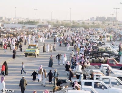 زيادات متتالية في أسعار الأضاحي.. النجدي يصل 1800 ريال والنعيمي 1350 ريالاً