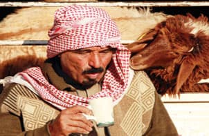 بائع سعودي يحتسي كوباً من الشاي في سوق المواشي في الرياض ، ويرتفع الطلب على الأغنام في موسم الأضاحي (رويترز)