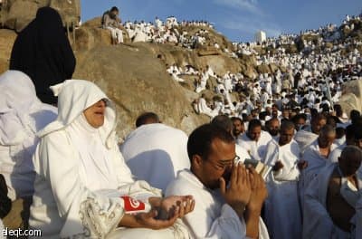 حجاج بيت الله الحرام على جبل الرحمة يدعون الله في هذا اليوم الفضيل ( أ.ب)
