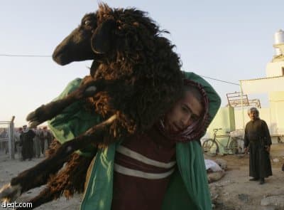 عراقي يحمل أضحيته احتفالاً بعيد الأضحى المبارك ( أ.ب )