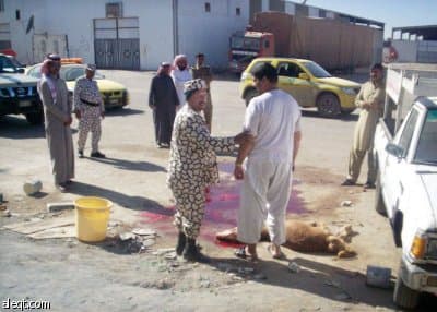 كيف حولت أمانة الرياض "أزمة الأضاحي" إلى برنامج عمل منظم؟