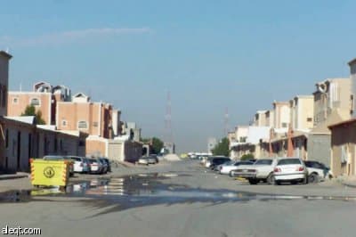 الجنادرية.. أشجار "ميتة" وإهمال "حي"!