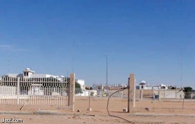 الجنادرية.. أشجار "ميتة" وإهمال "حي"!