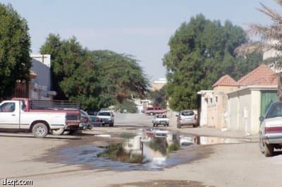 الجنادرية.. أشجار "ميتة" وإهمال "حي"!