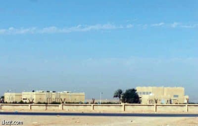 الجنادرية.. أشجار "ميتة" وإهمال "حي"!