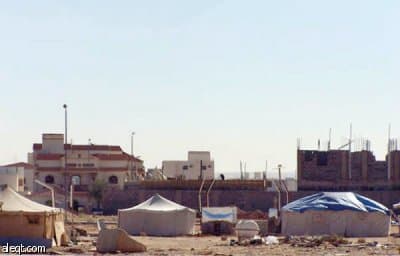 الجنادرية.. أشجار "ميتة" وإهمال "حي"!