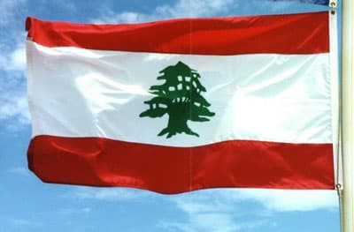 لبنان يرجح خفض توقعات النمو في 2009     .