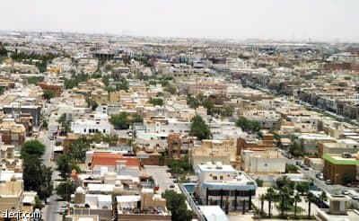 انخفاض أسعار الفلل في الرياض 10 %