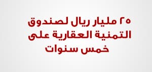 وزارة المالية تصدر بيانها التفصيلي حول الميزانية العامة للدولة