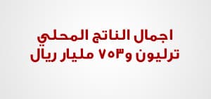 وزارة المالية تصدر بيانها التفصيلي حول الميزانية العامة للدولة