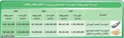ميزانية 2009
